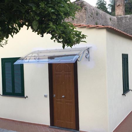 La Finestra Sul Giardino Apartment Ischia Exterior photo