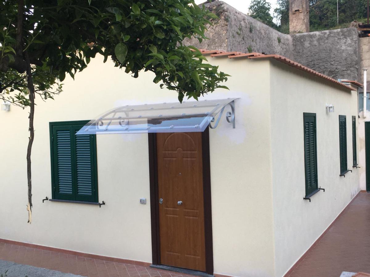 La Finestra Sul Giardino Apartment Ischia Exterior photo